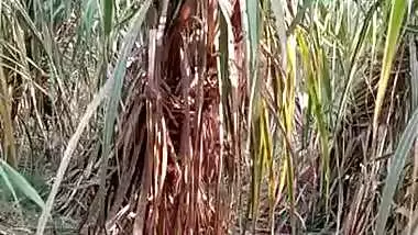 Village girl romance in jungle update